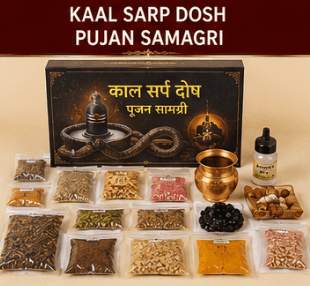 Kaal Sarp Dosh Pujan Samagri